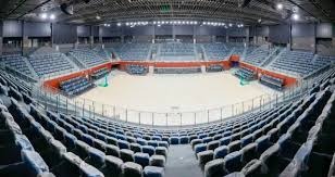 意甲第十四轮：萨索洛3-1逆转佛罗伦萨，紫百合陷入困境